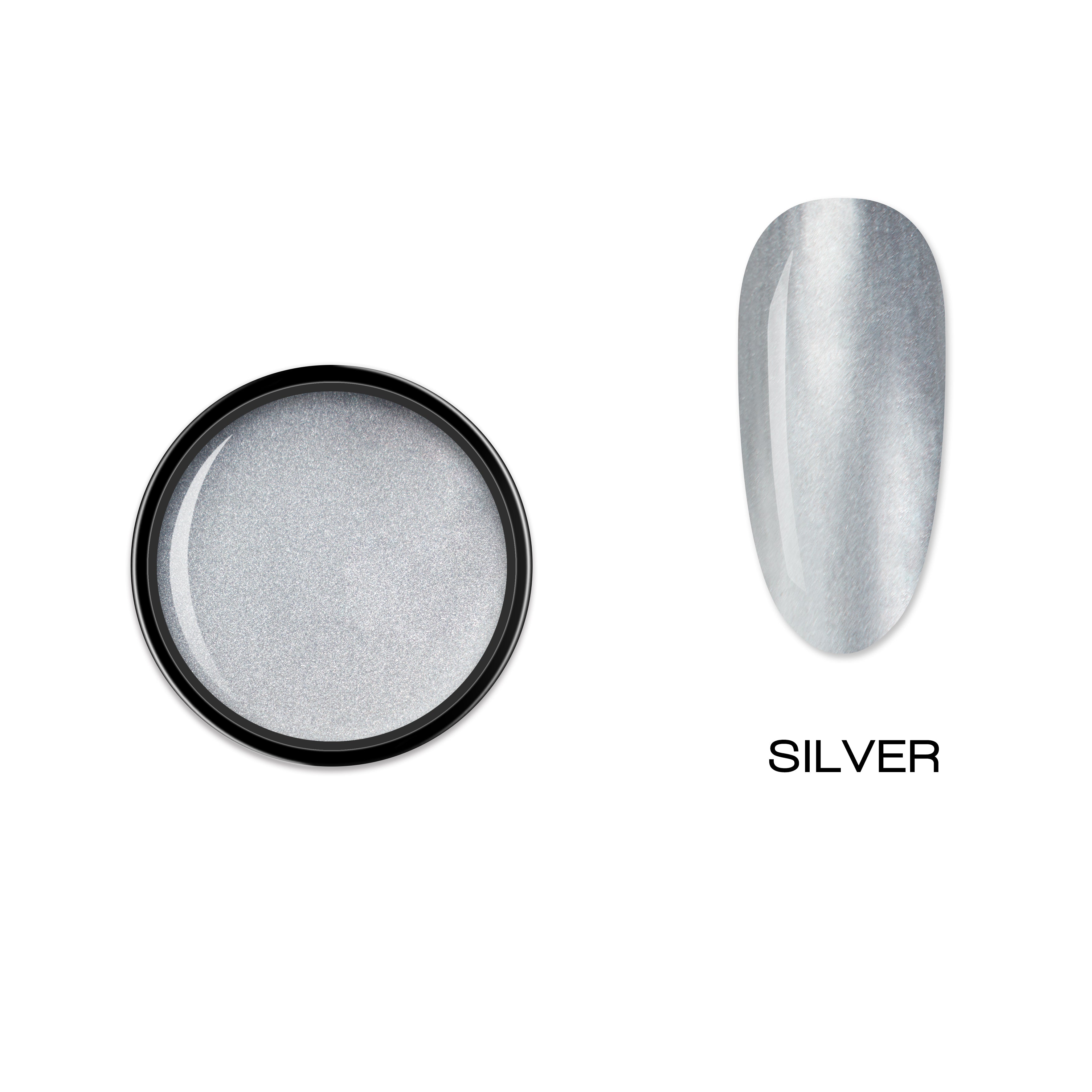 ELITE EMBRACE Professional Metallic Paint Gel Silver 5g EMGS05