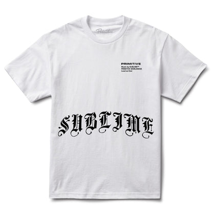 Primitive Memory Hw Tee