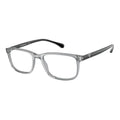 Emporio Armani Transparent Injected Glasses (Frames)