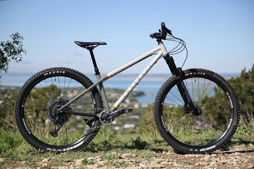 Fairdale Elevator 29″ Hardtail MTB - Gloss Battleship Gray