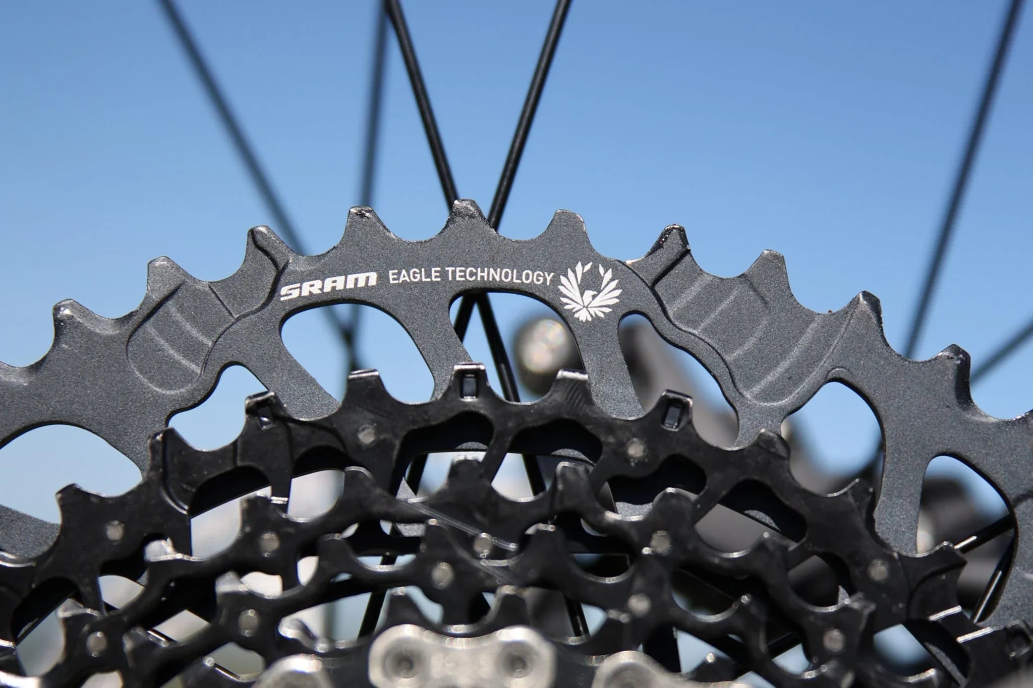 Fairdale Elevator 29″ Hardtail MTB - Gloss Battleship Gray