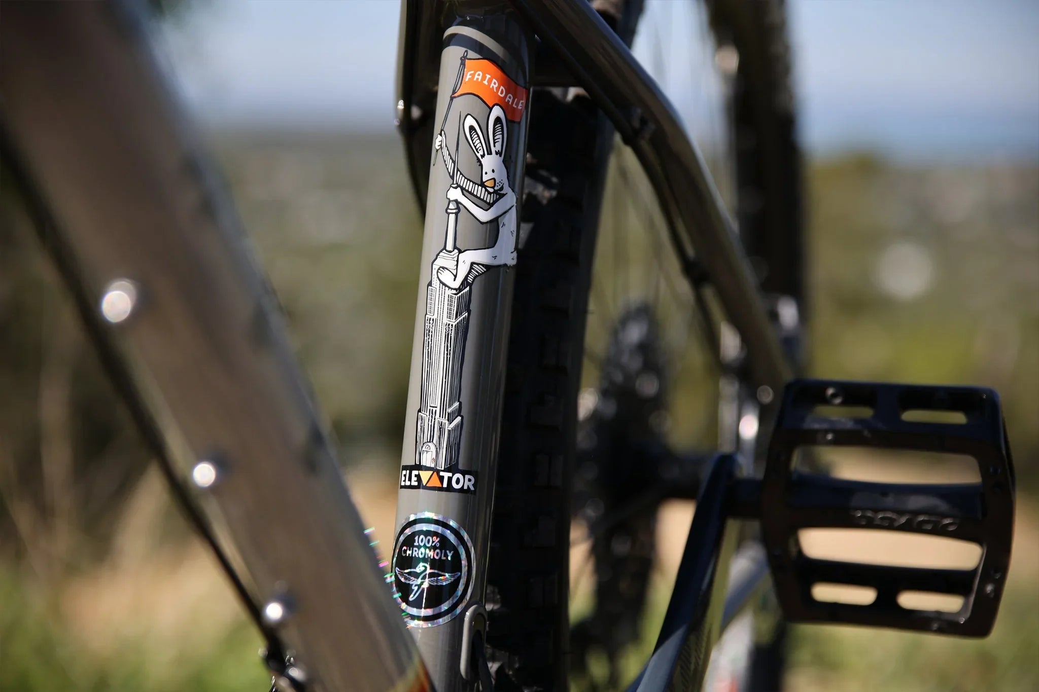 Fairdale Elevator 29″ Hardtail MTB - Gloss Battleship Gray