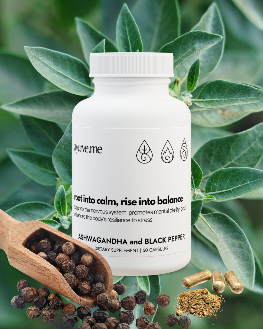Ashwagandha + Black Pepper | Adaptogen for Stress, Focus & Energy