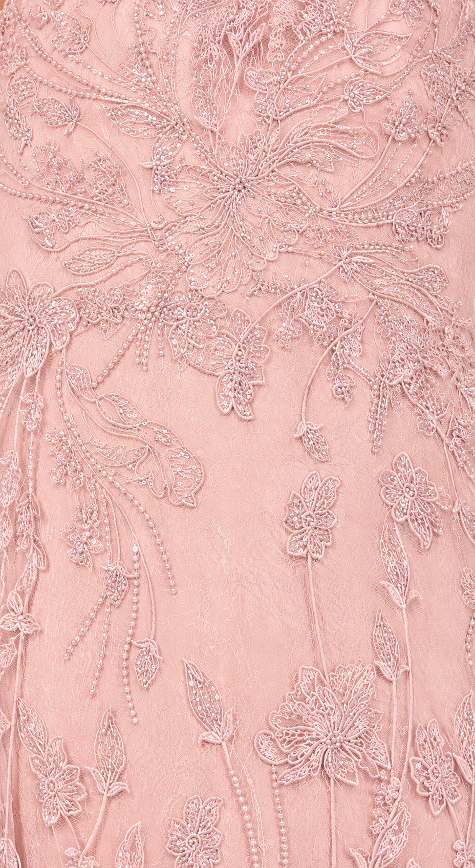Overskirt Lace Fitted V-Neck Gown