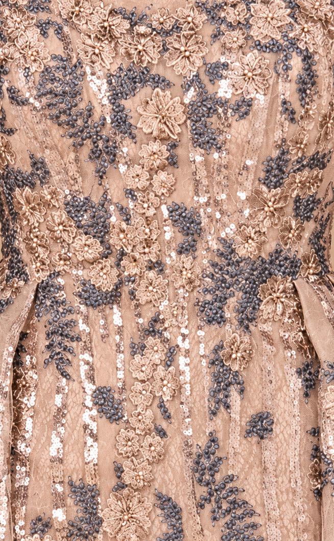 Long Sleeve Scoop Neck Lace Gown with Overskirt