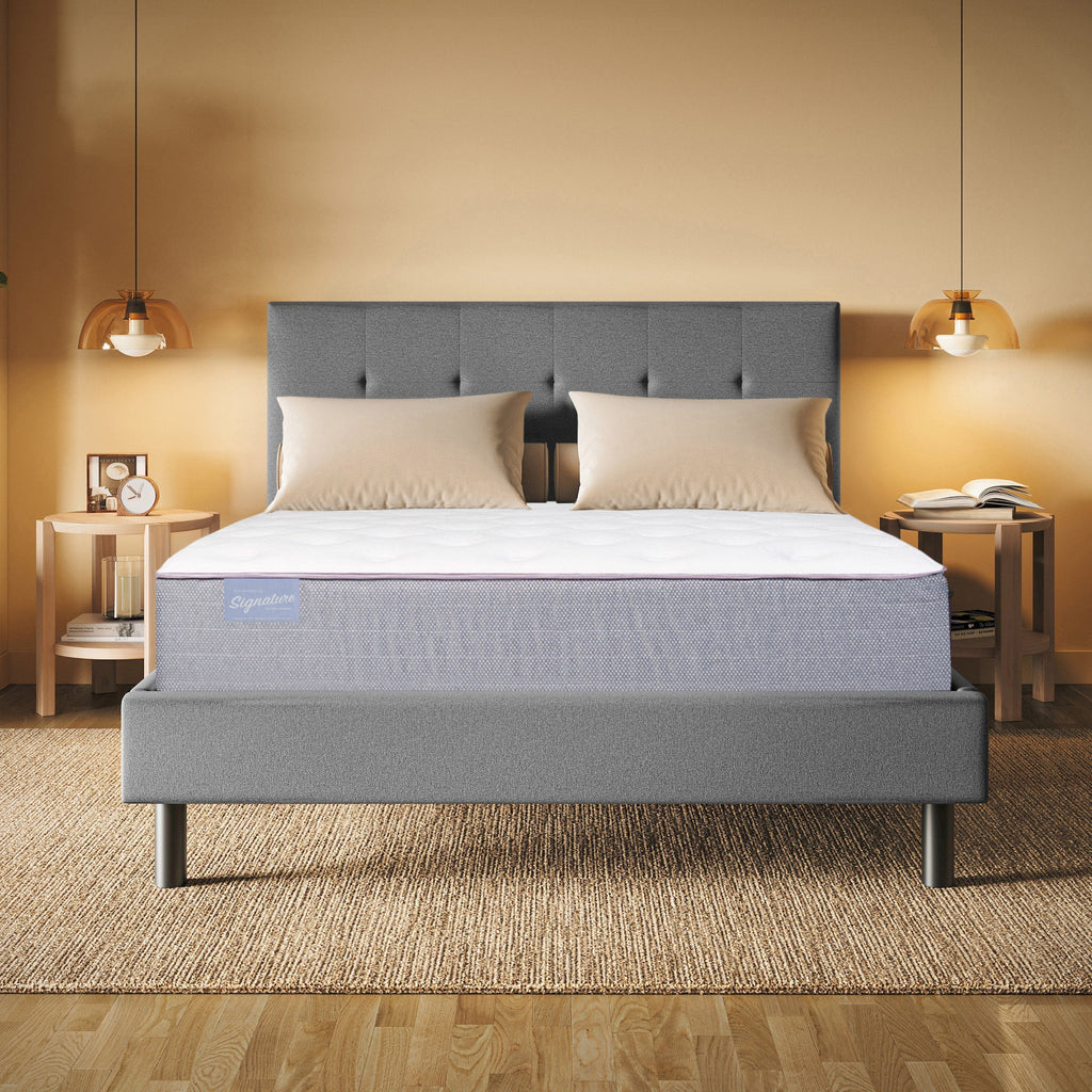 Club Signature II Plush