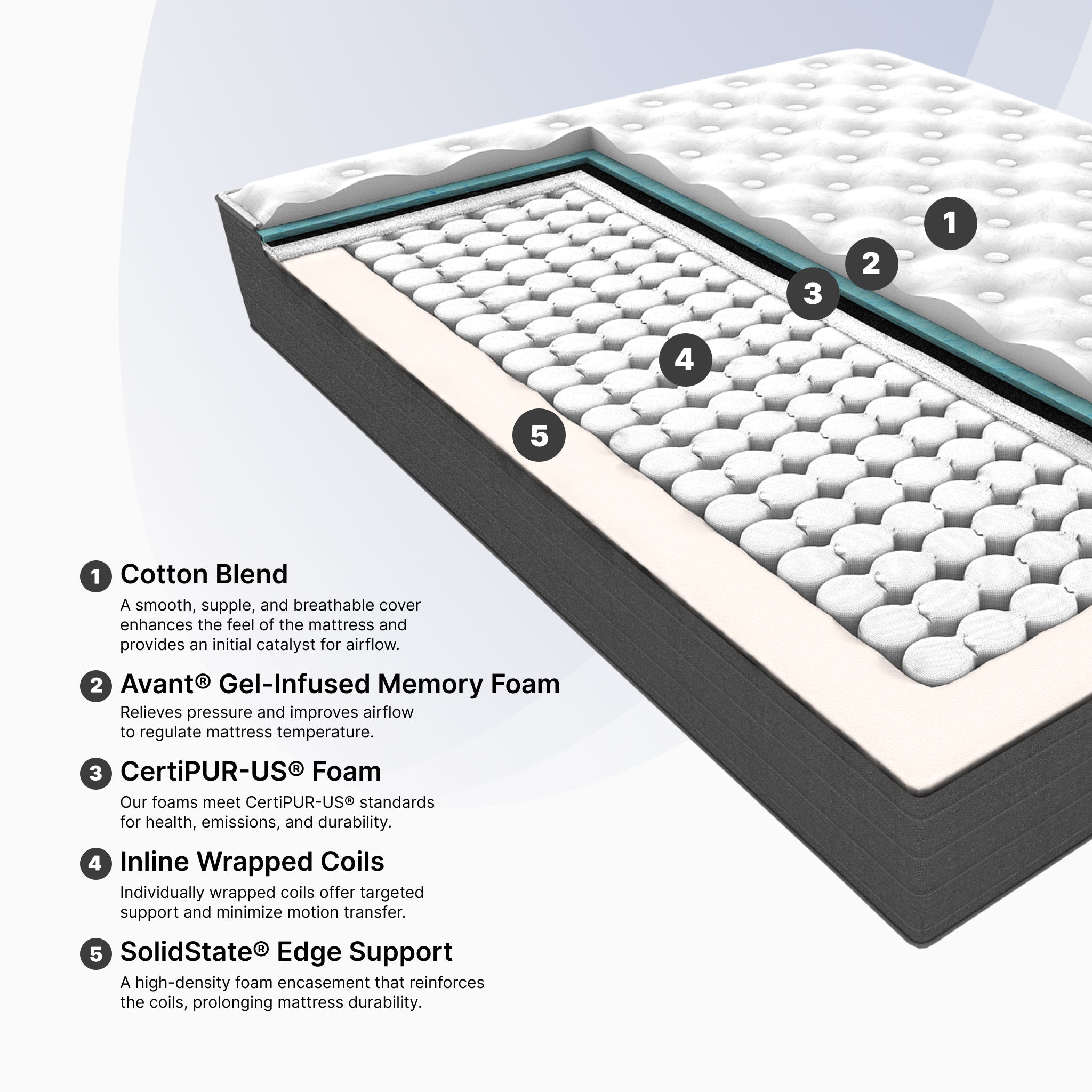 Club Signature II Plush