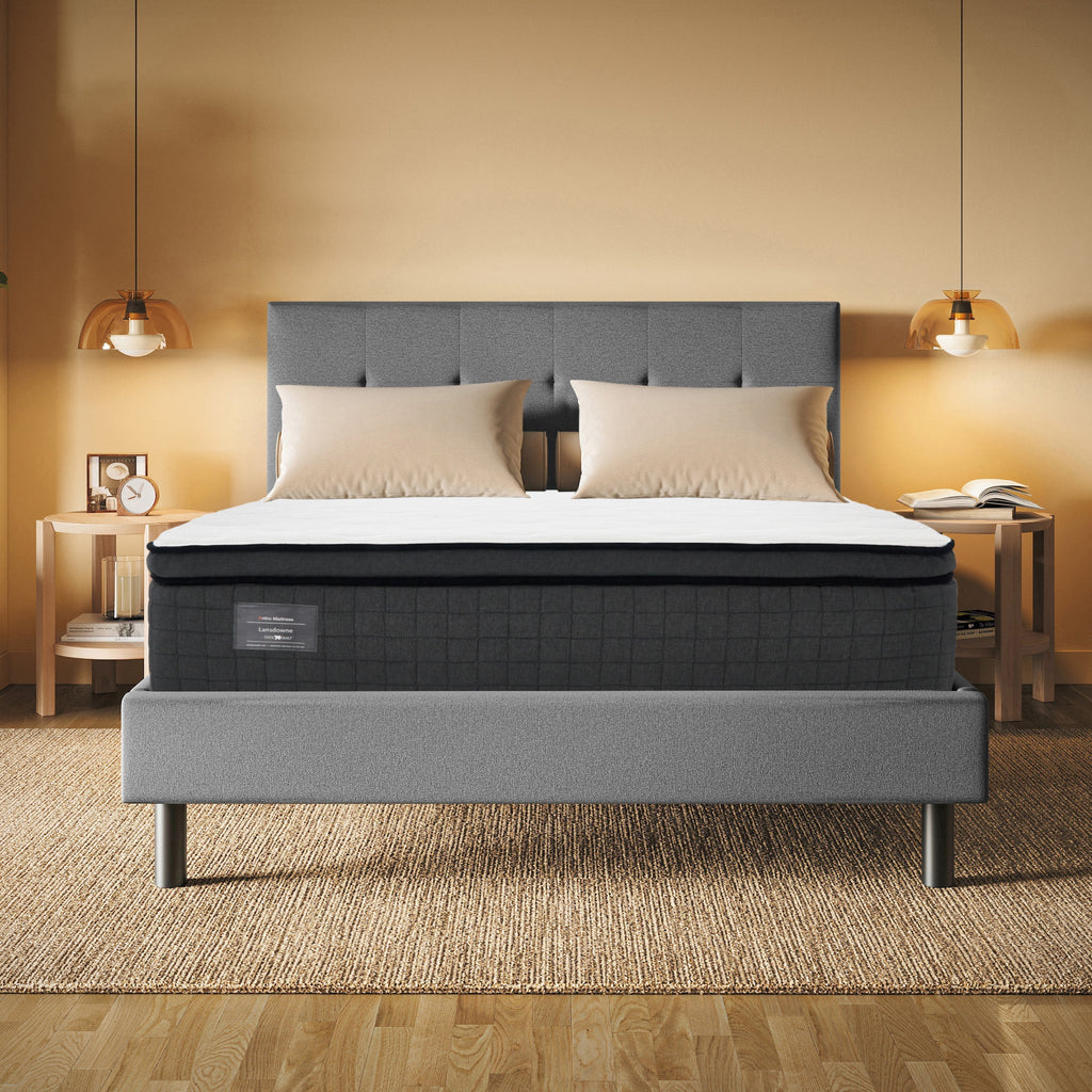 Lansdowne Extra Firm Box Top