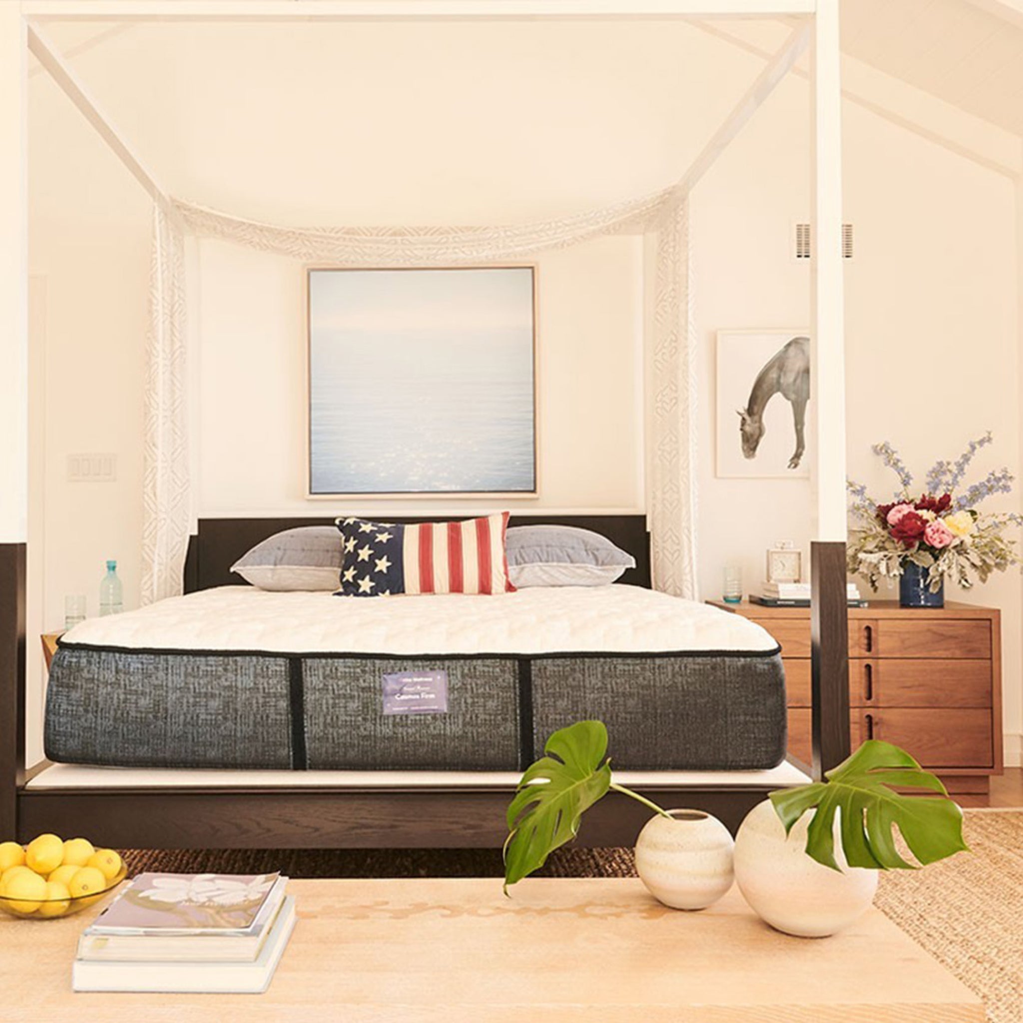 Cosmos Firm (FLOOR SAMPLE)