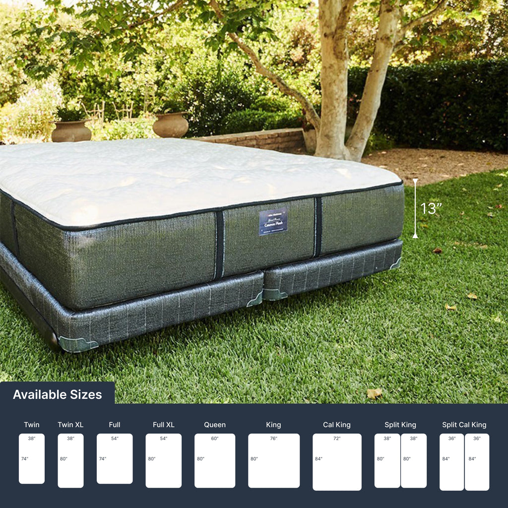 Cosmos Firm (FLOOR SAMPLE)