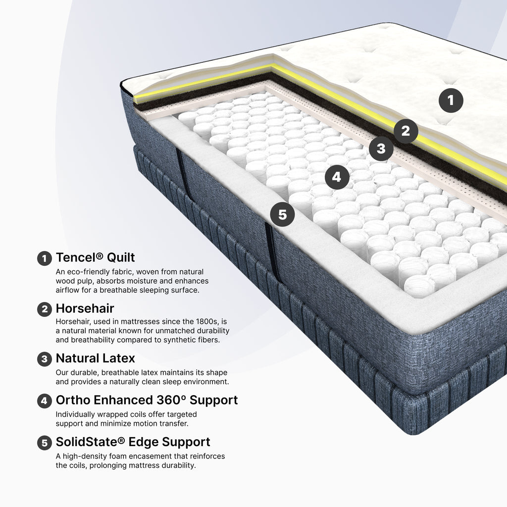 Cosmos Firm (FLOOR SAMPLE)