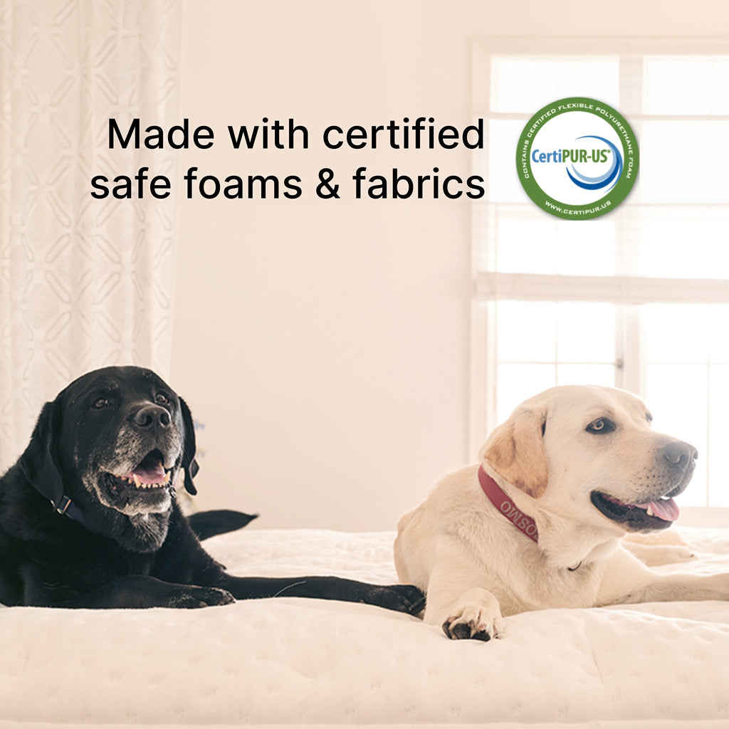 Cosmos Firm (FLOOR SAMPLE)