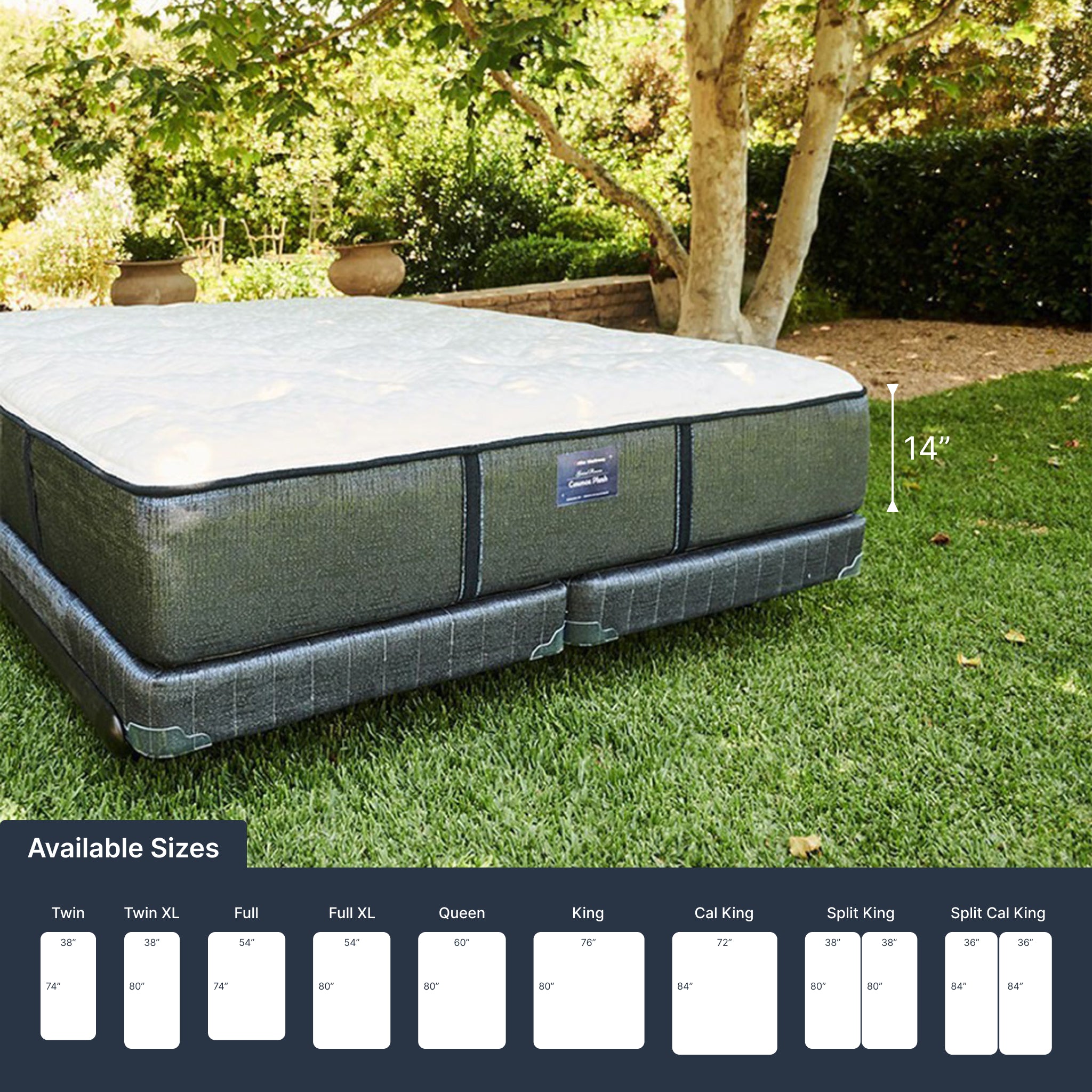 Cosmos Plush (FLOOR SAMPLE)