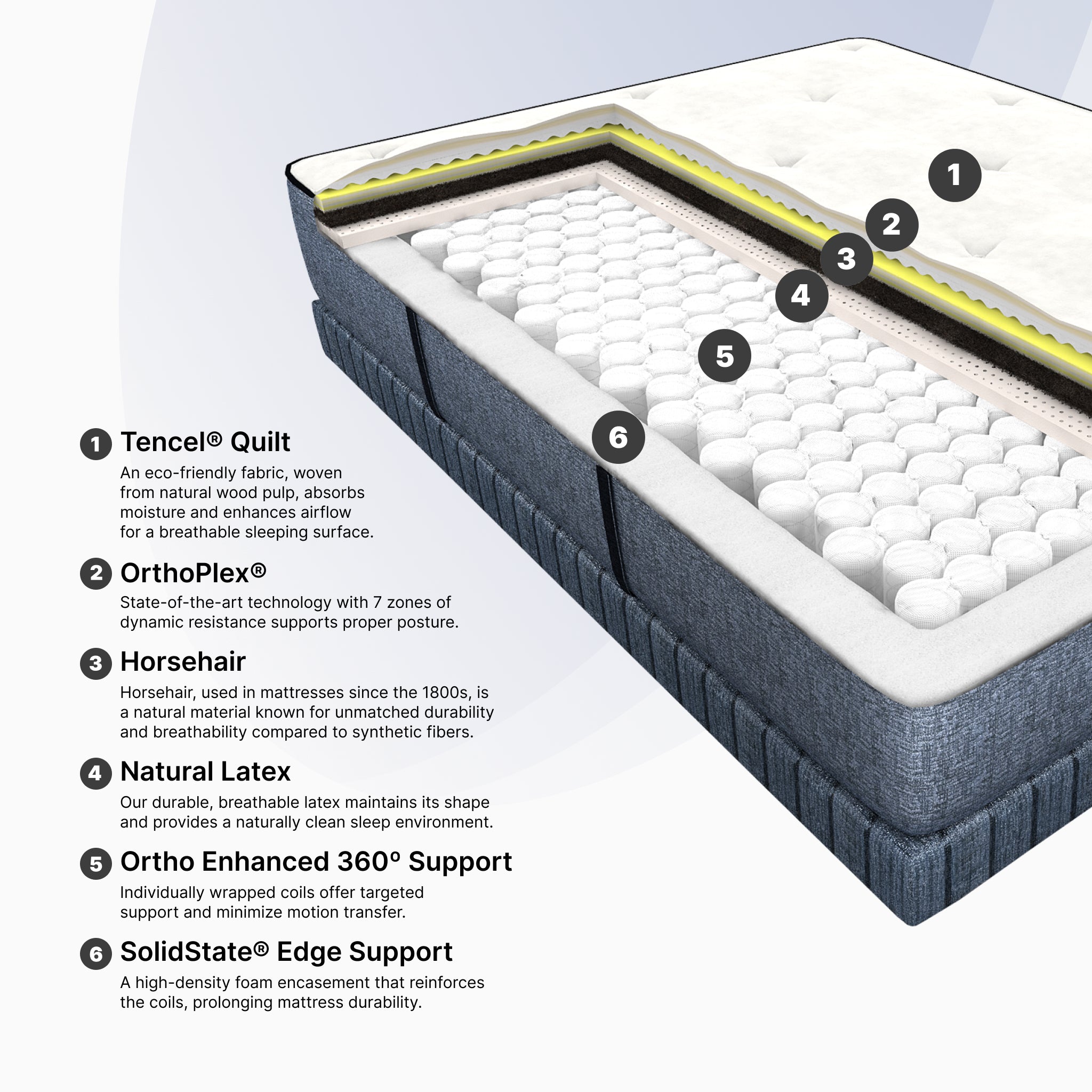 Cosmos Plush (FLOOR SAMPLE)