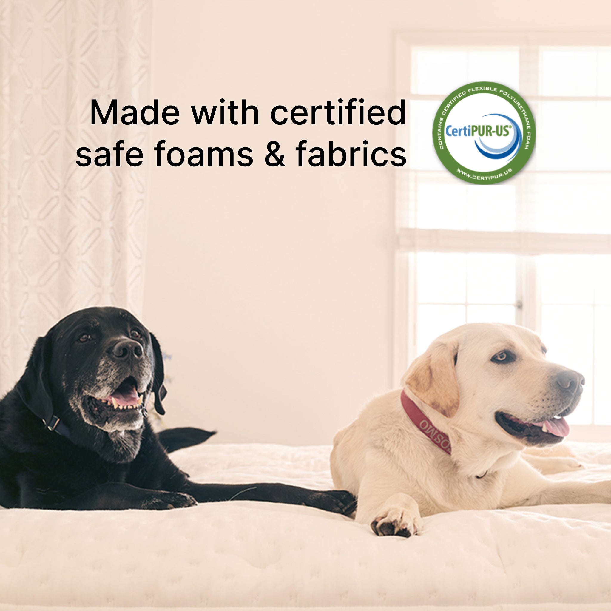 Cosmos Plush (FLOOR SAMPLE)