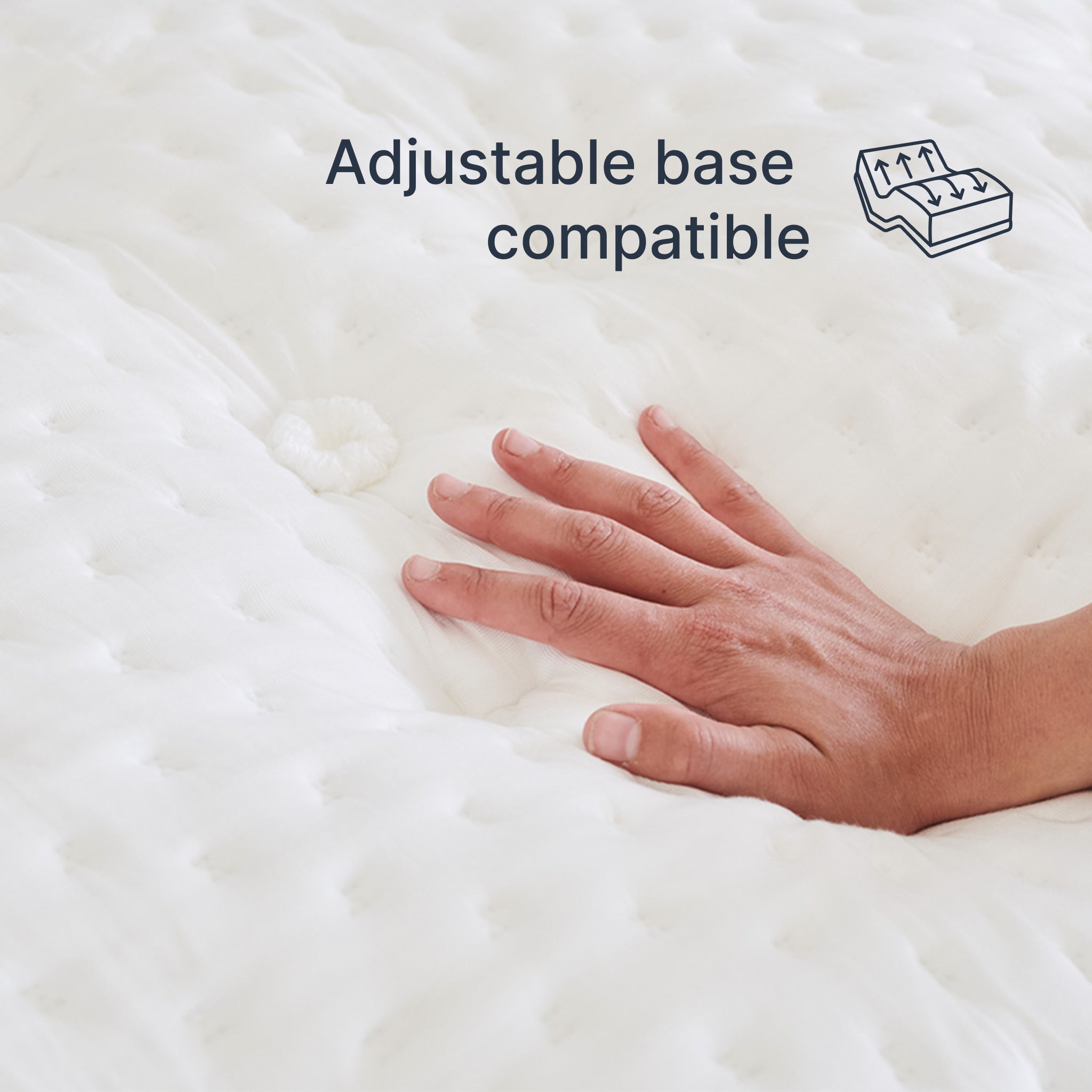 Cosmos Plush (FLOOR SAMPLE)