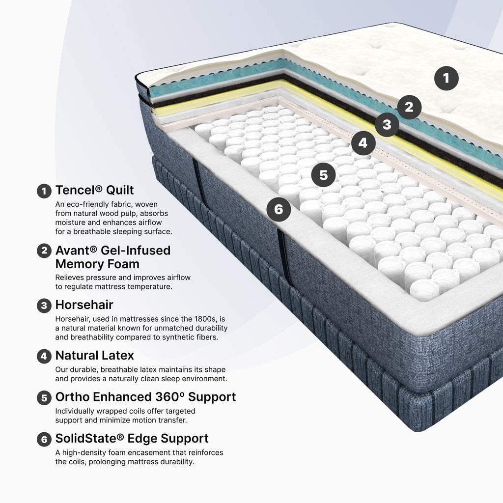 Cosmos LTPS (FLOOR SAMPLE)