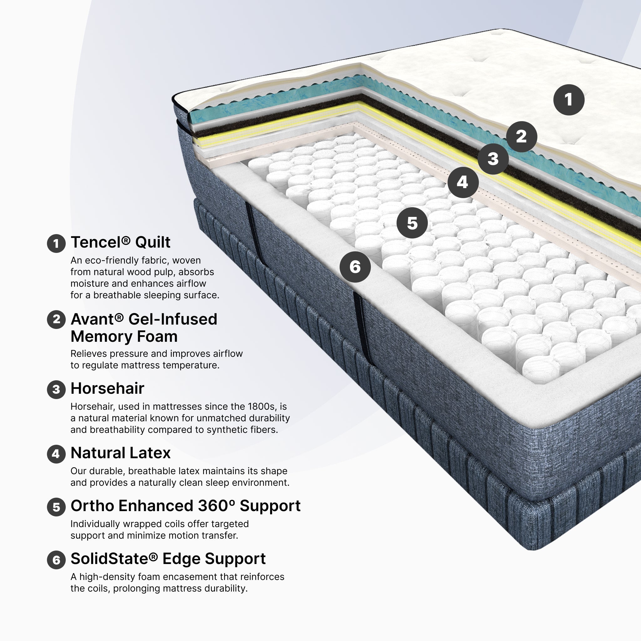 Cosmos LTPS (FLOOR SAMPLE)