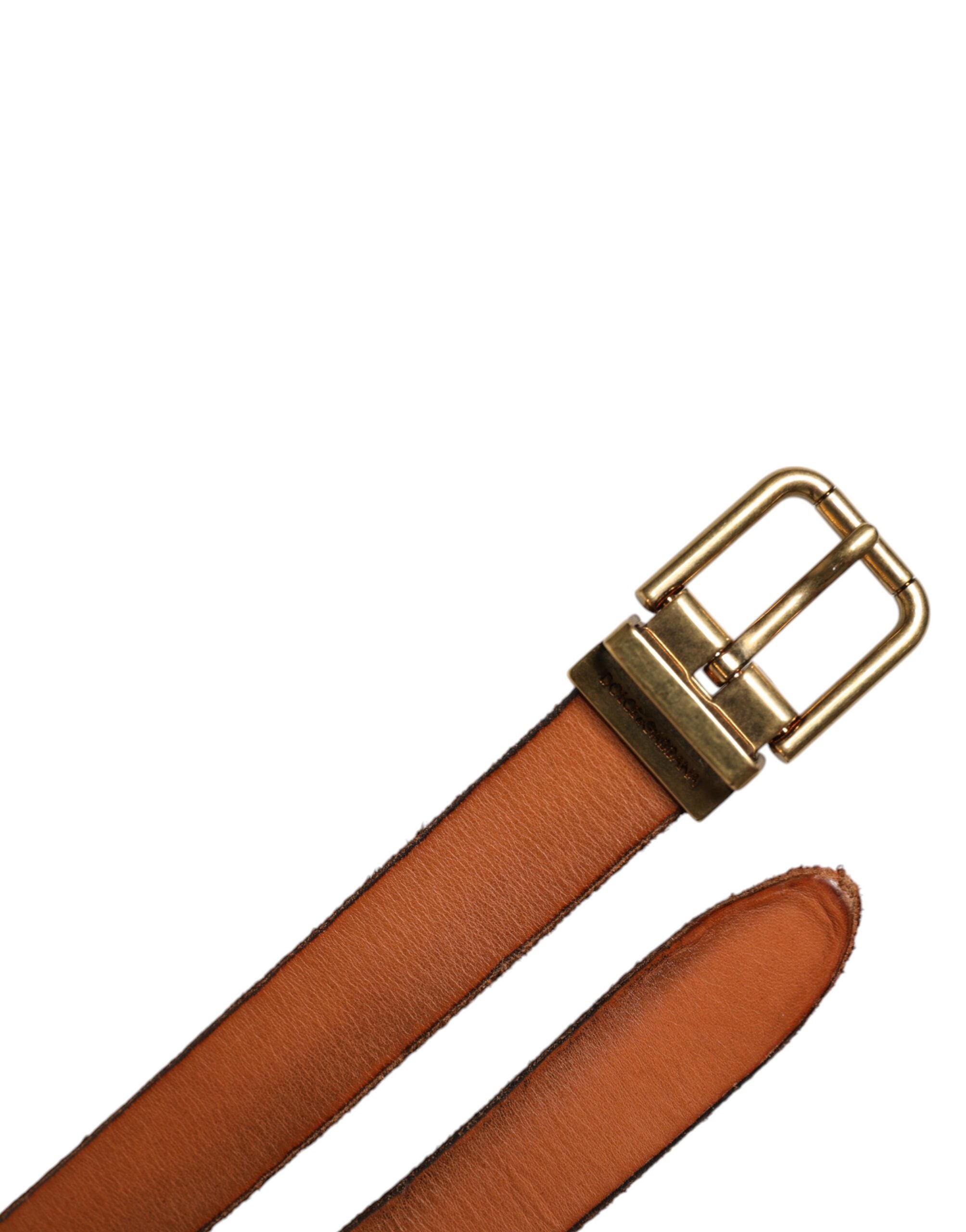 Dolce & Gabbana Brown Leather Gold Tone Metal Buckle Belt