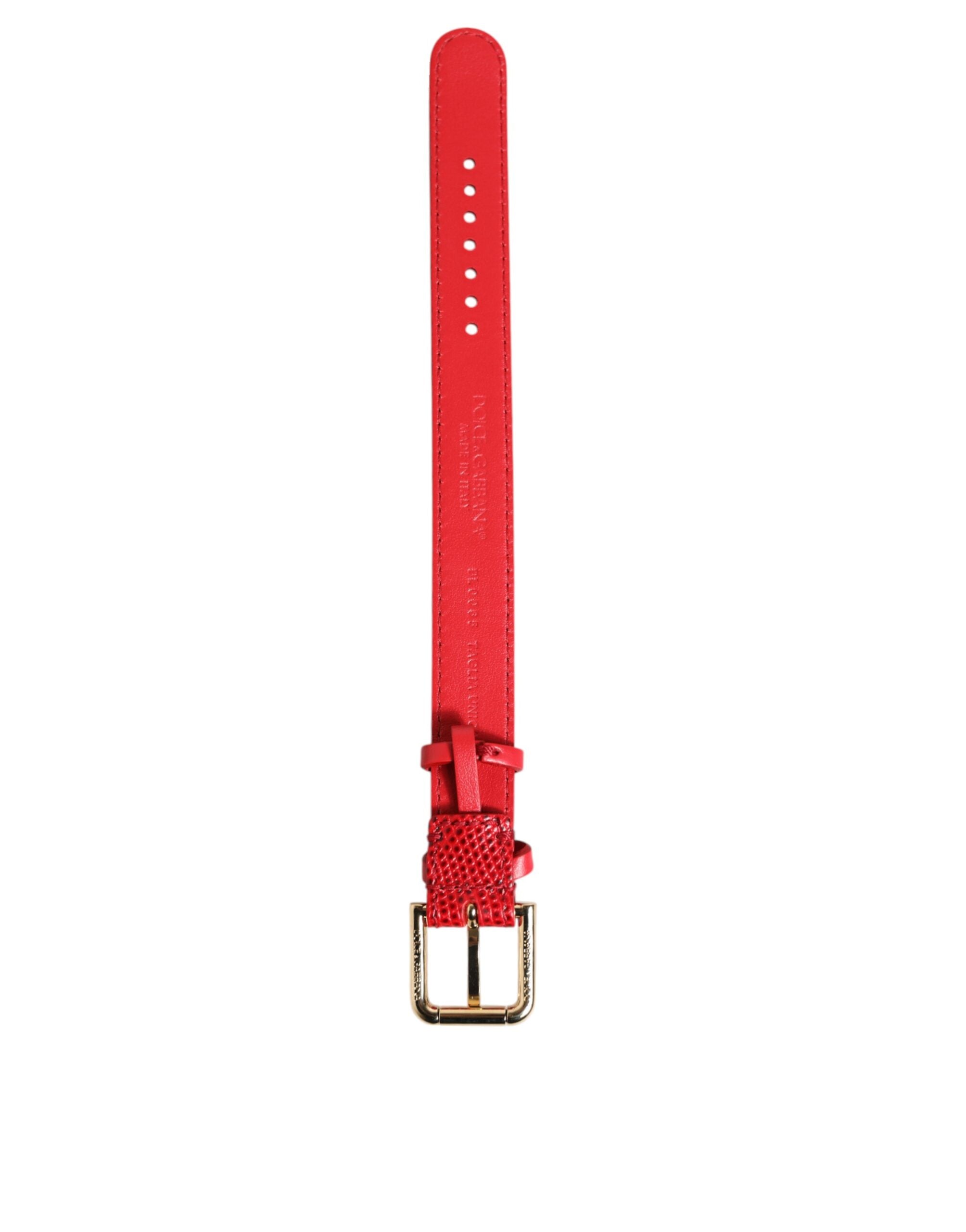 Dolce & Gabbana Red Exotic Leather Gold Tone Metal Buckle Women Armband