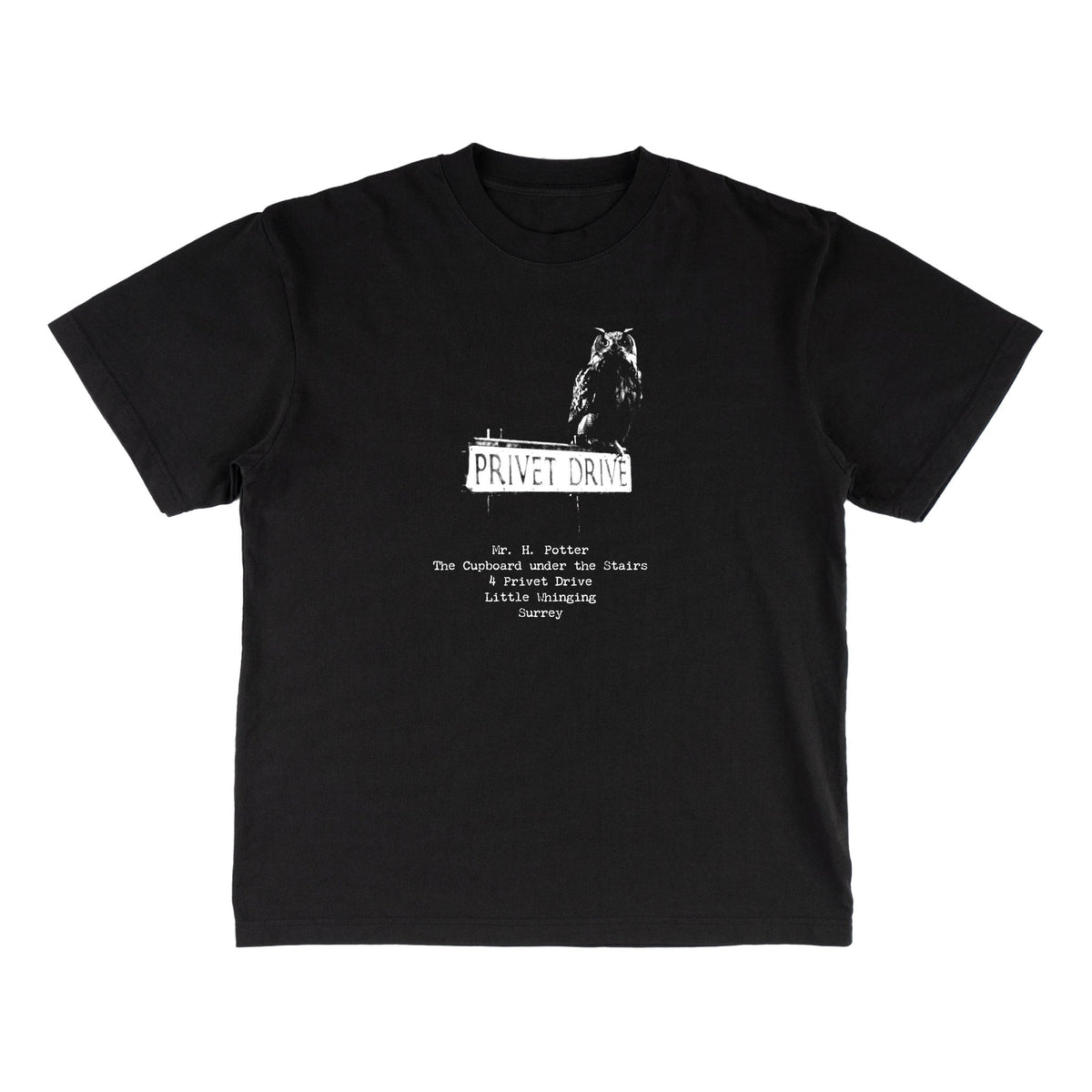 Welcome x Harry Potter Acceptance Boxy Garment-Dyed Tee - Black