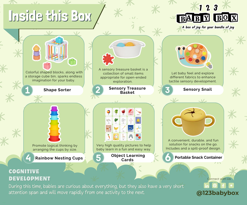 Montessori Educational Box (7-8 months)