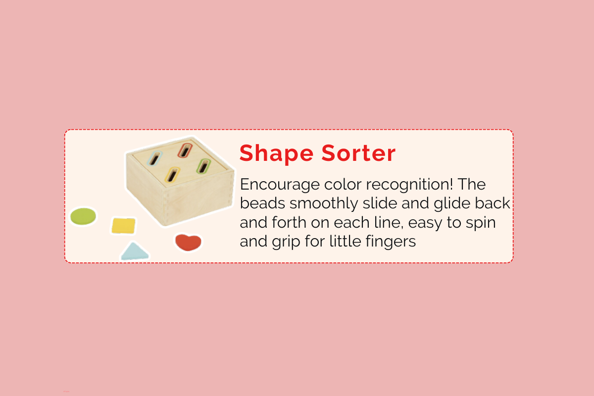 Montessori Educational Box (9-10 Months)