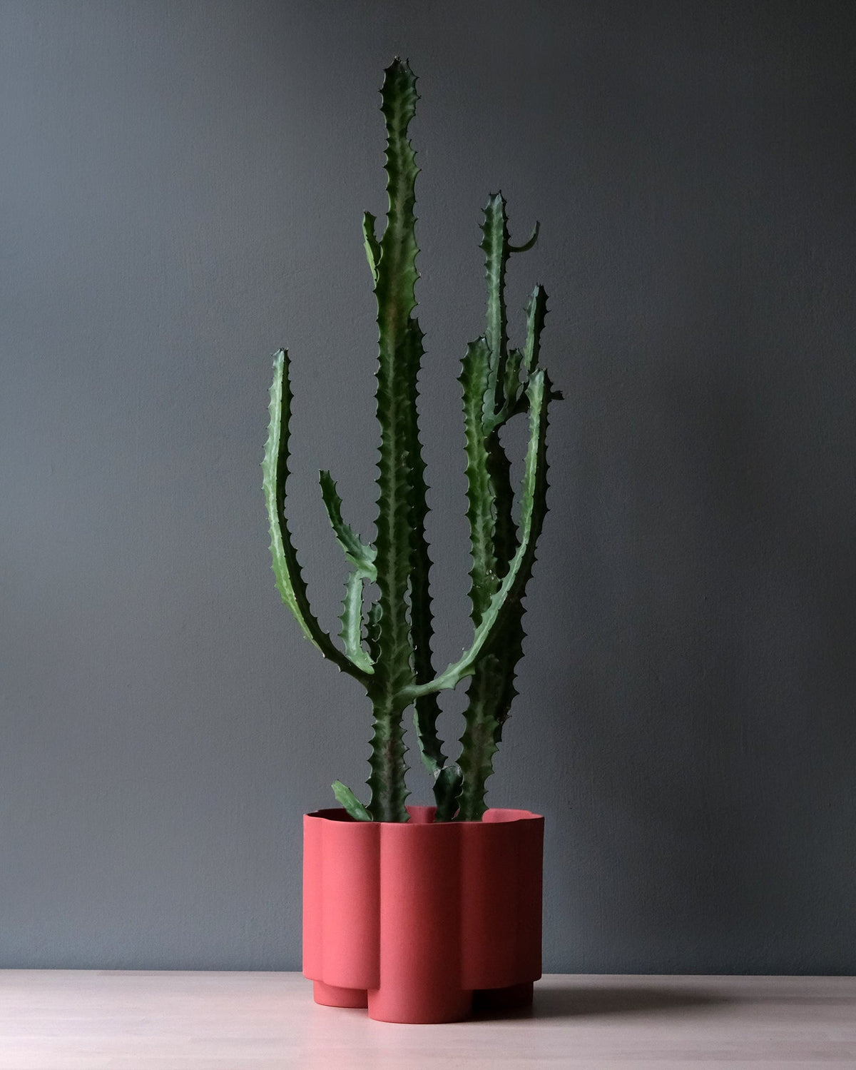 Pillar Planter