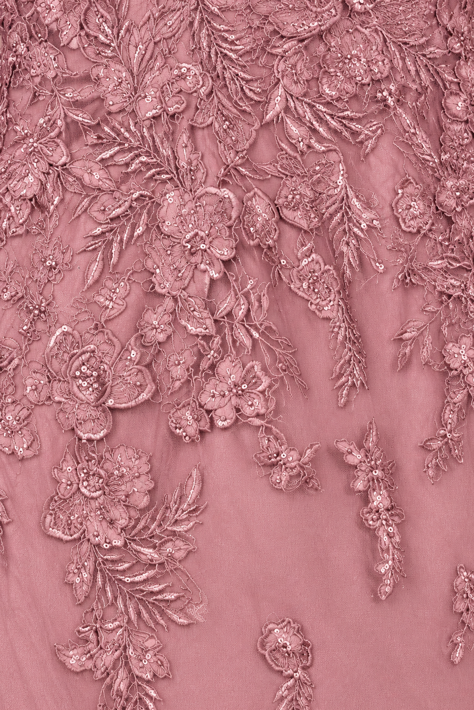 Embroidered Lace Gown with Flowing Capes