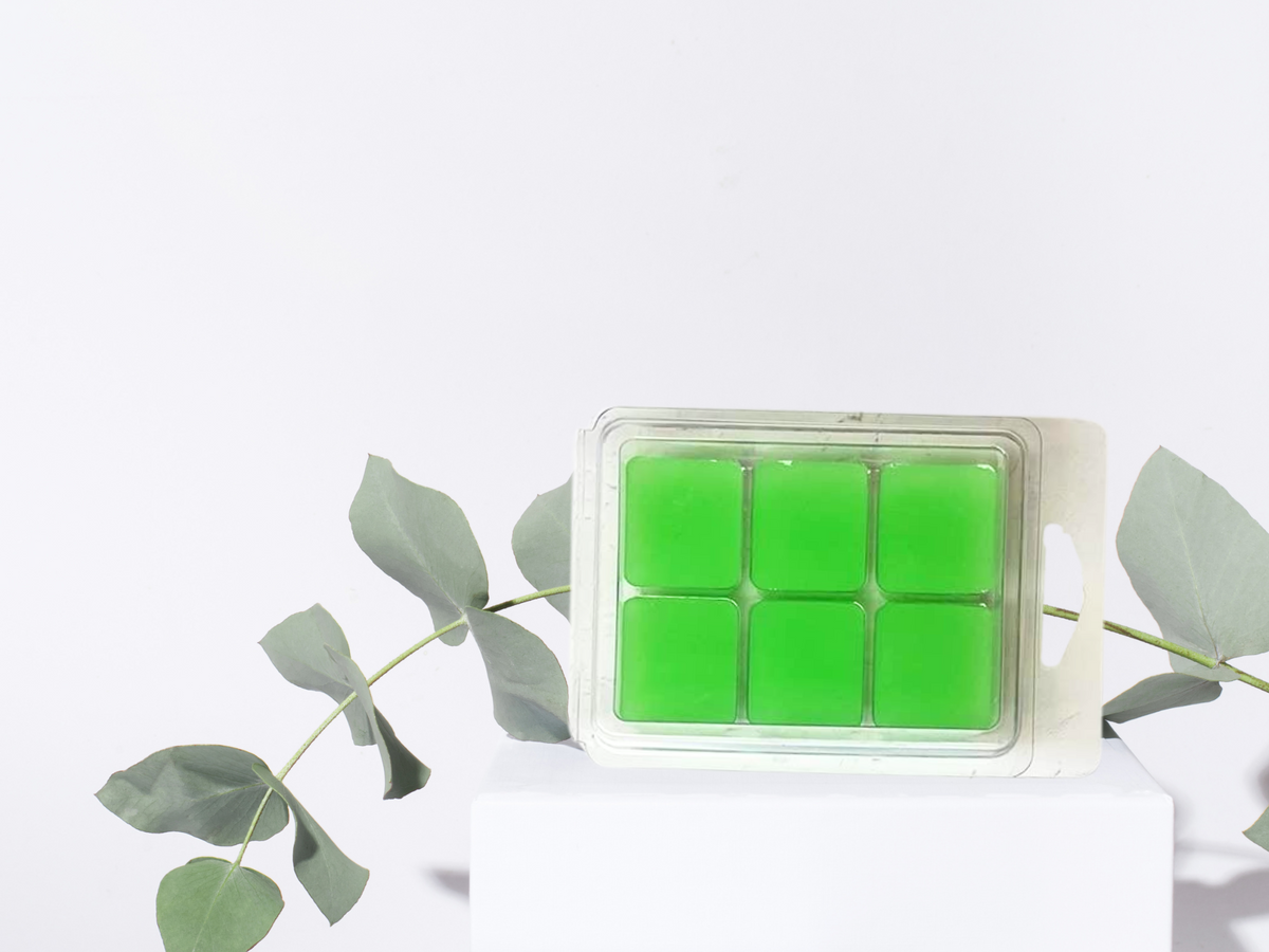 Clamshell Wax Melts – Best-Selling Scents | Signature Collection