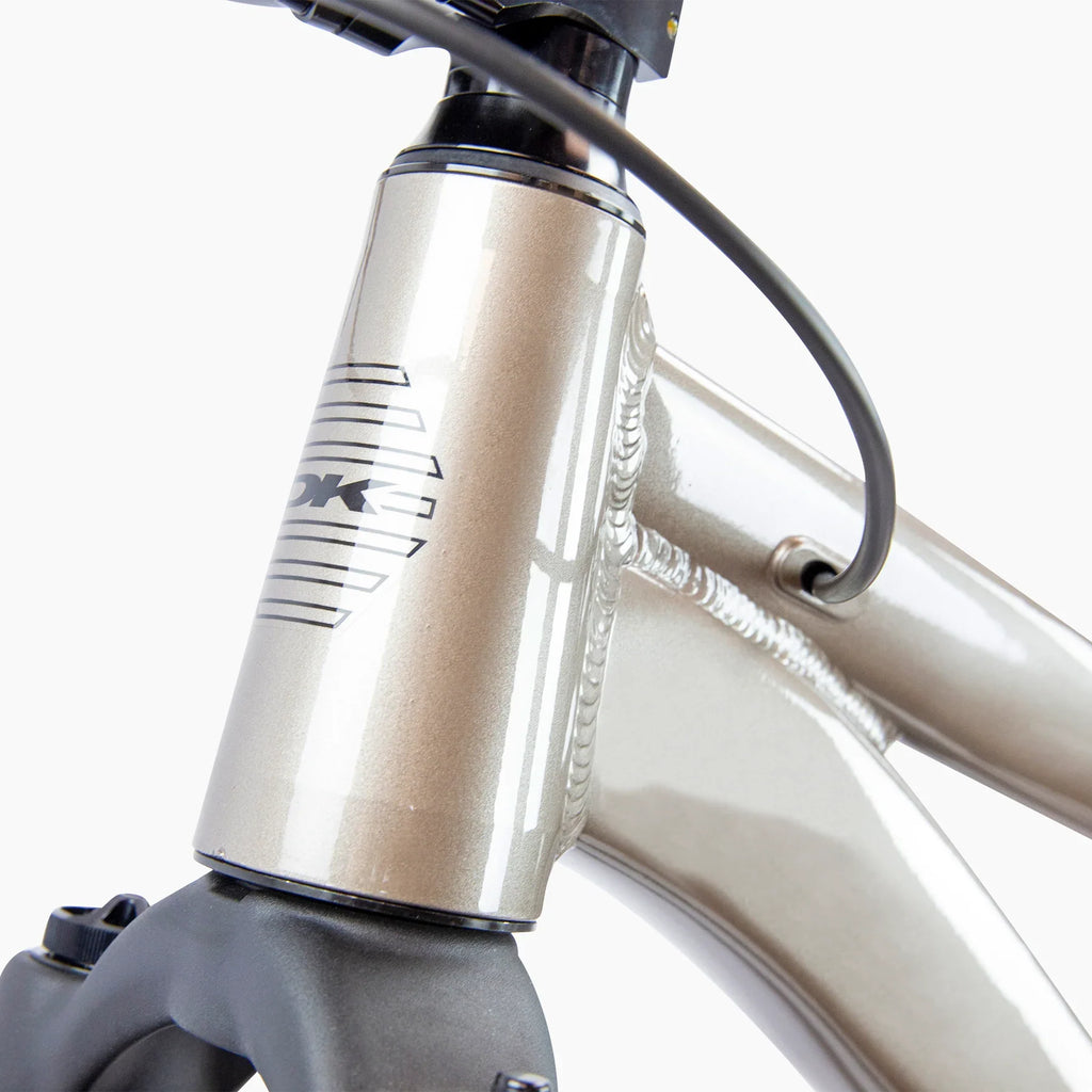 DK Asterik 26″ Complete Dirt Jumper Bike - Zinc