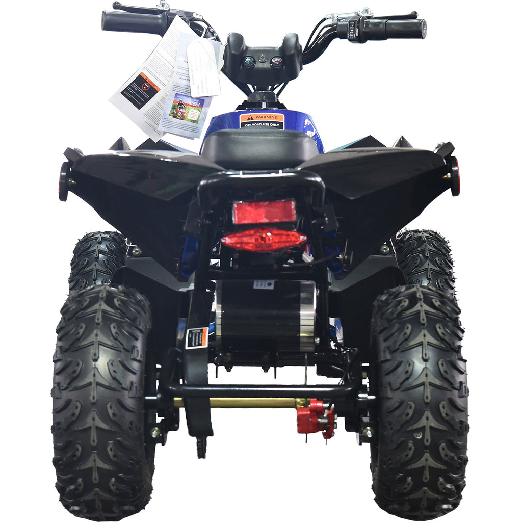 36V 1.0 kW Lead Acid ATV