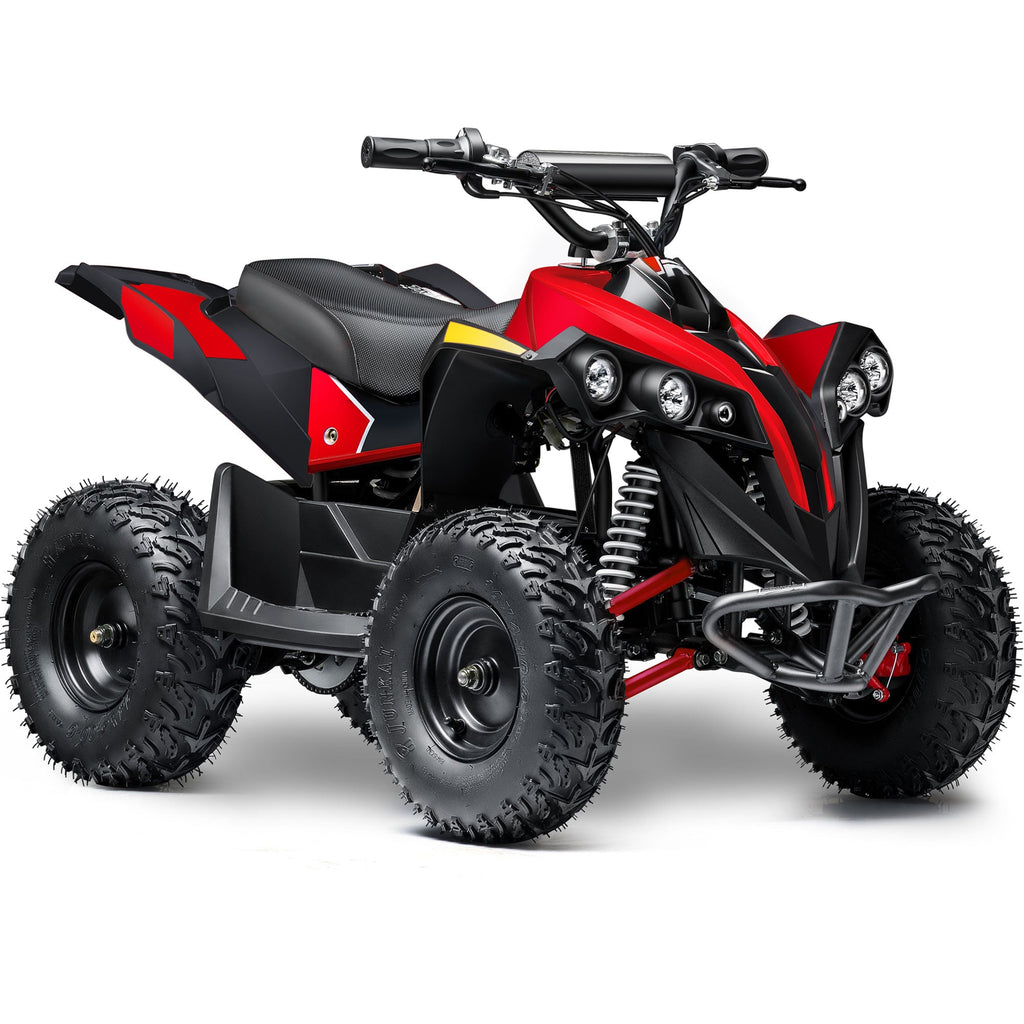 36V 1.0 kW Lead Acid ATV