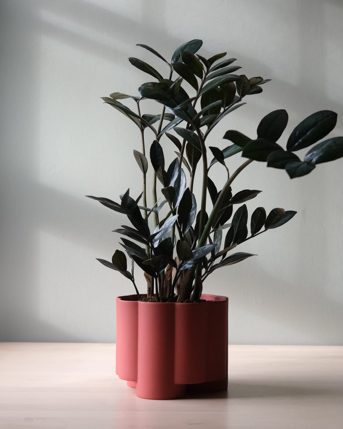 Pillar Planter