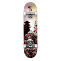 DGK Haunt Skateboard Complete - 7.25"