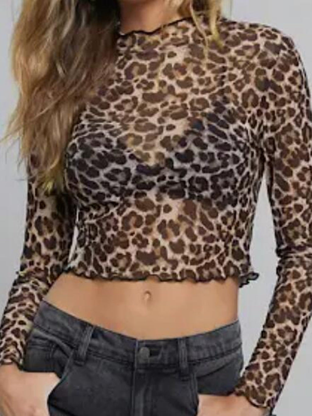 Cropped mesh leopard long sleeve top