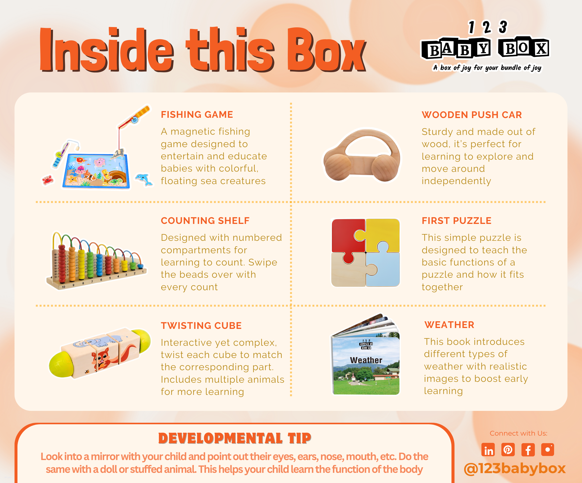 Montessori Educational Box (25-27 Months)