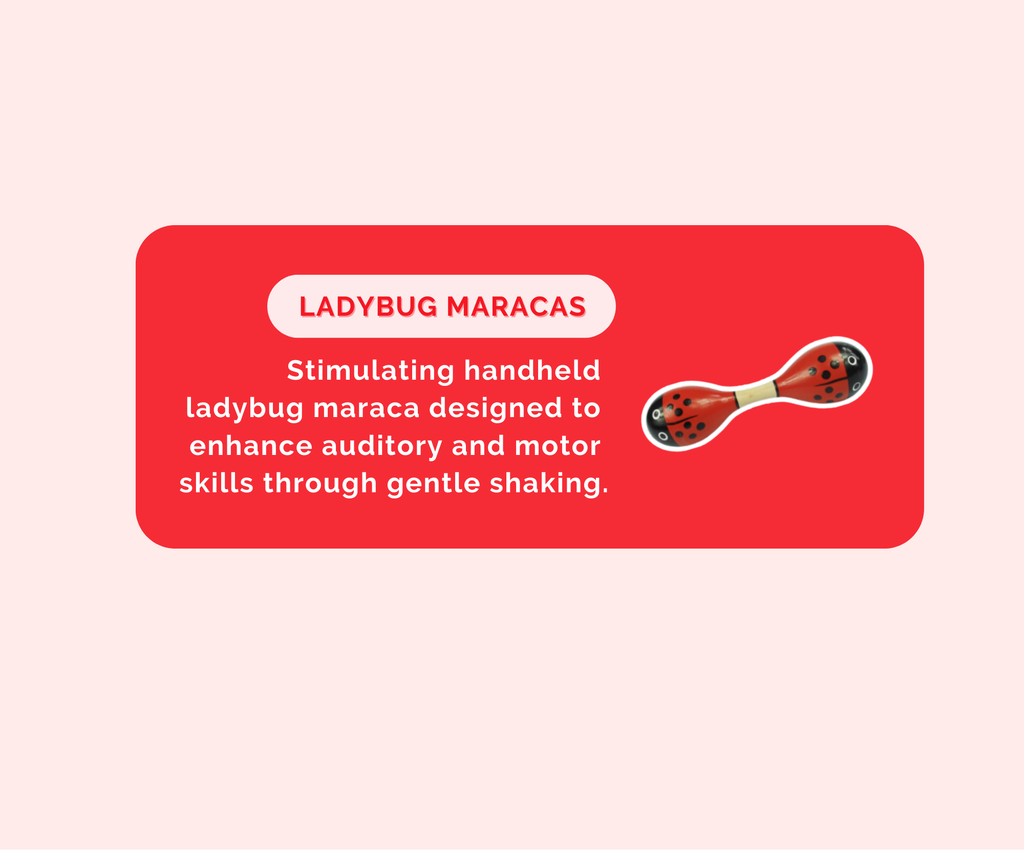 Montessori Educational Box (3-4 Months)