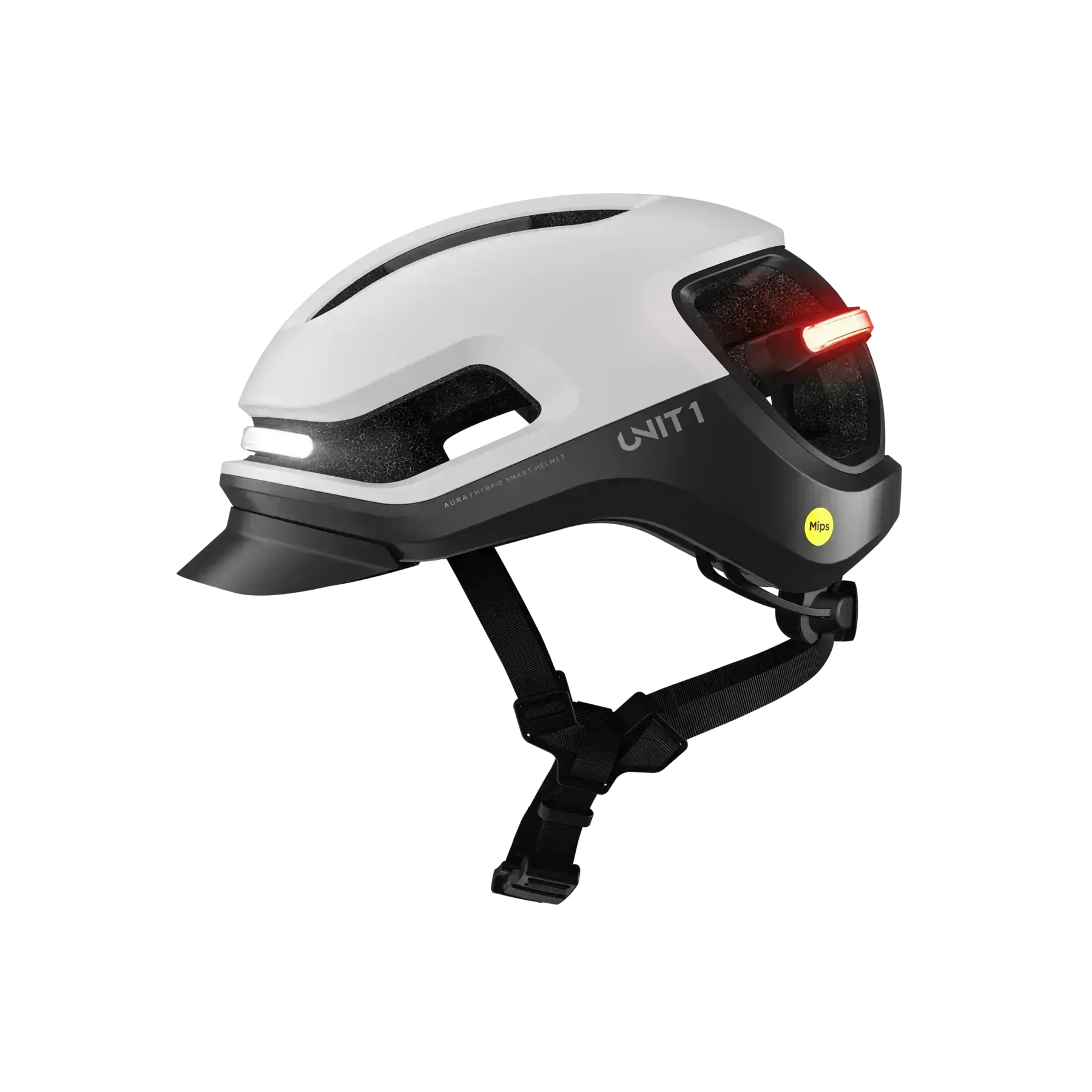 UNIT 1 AURA MIPS Orca