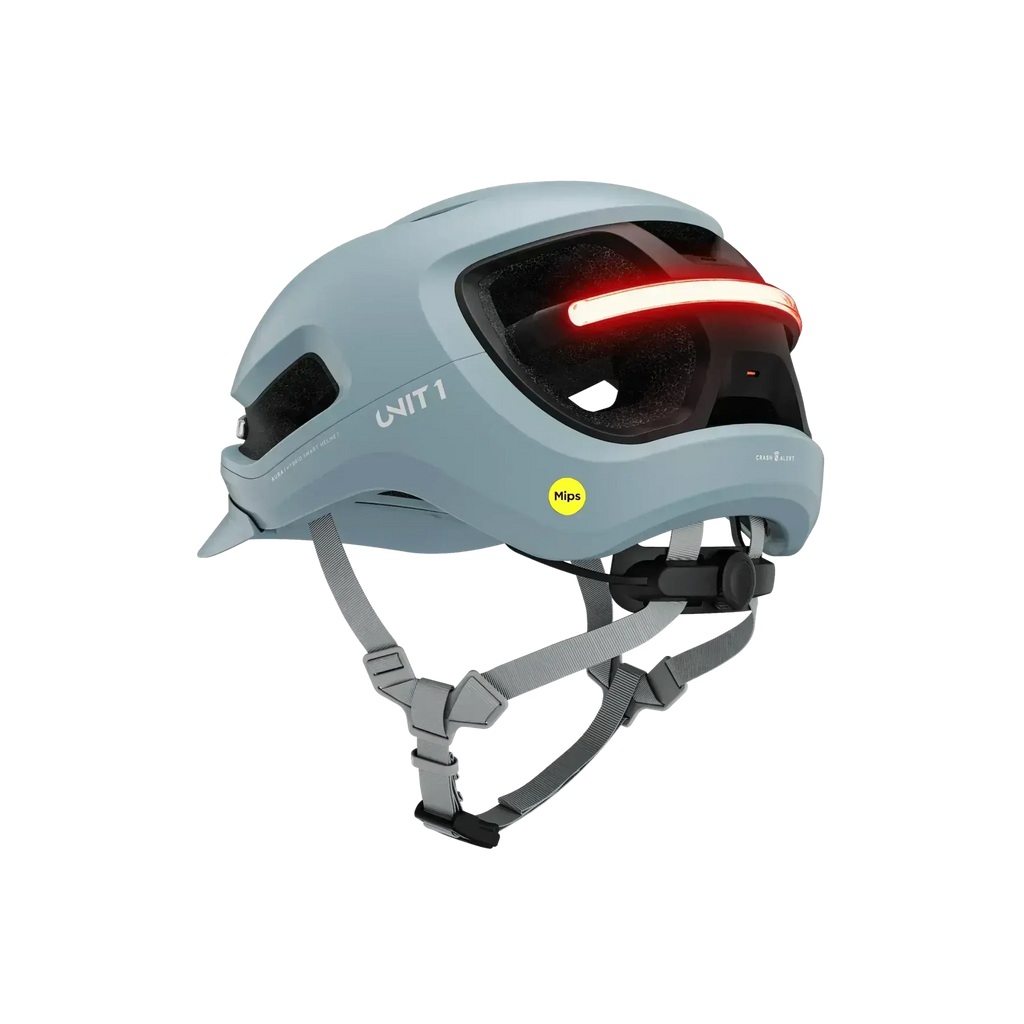 Unit 1 AURA Mips Stingray