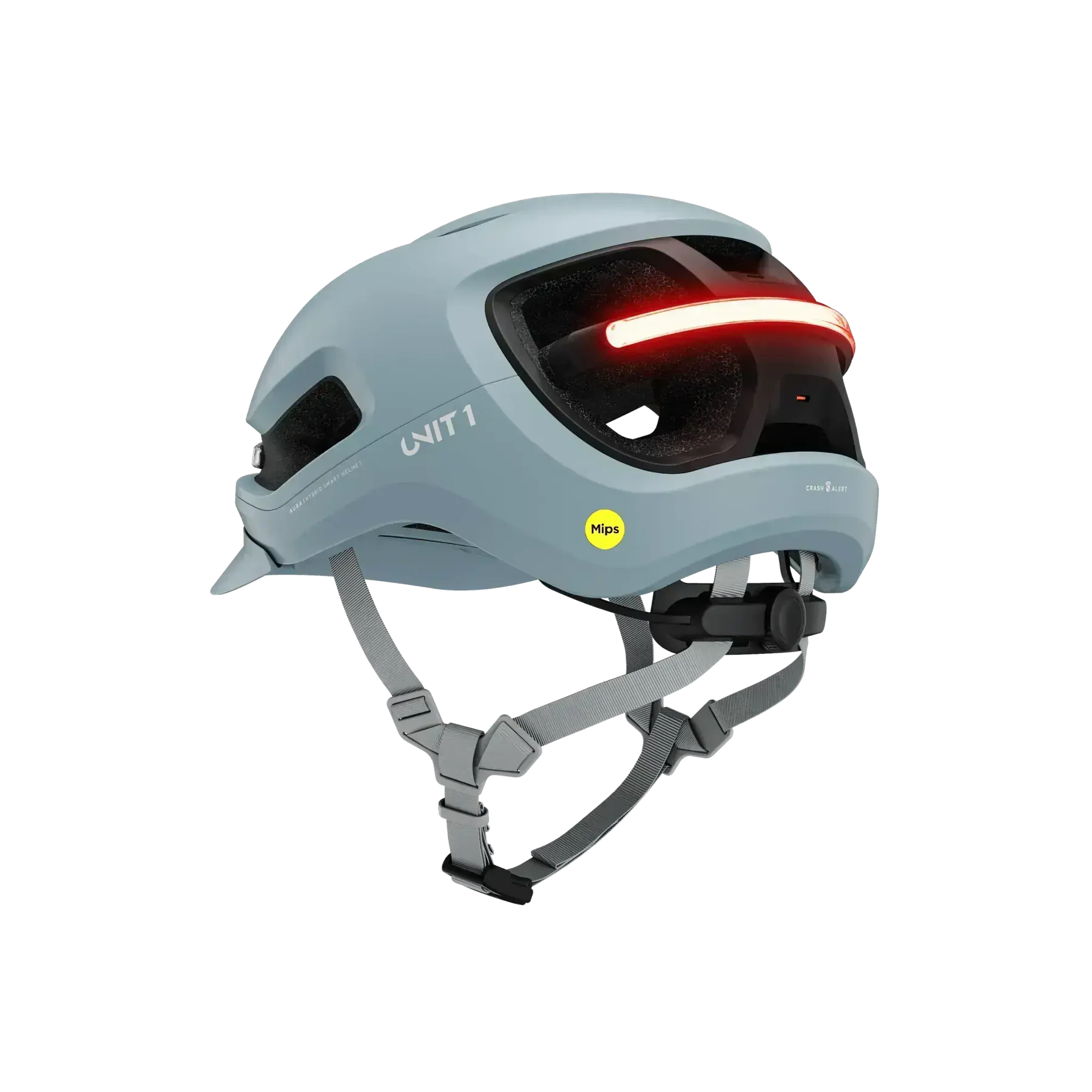 Unit 1 AURA Mips Stingray