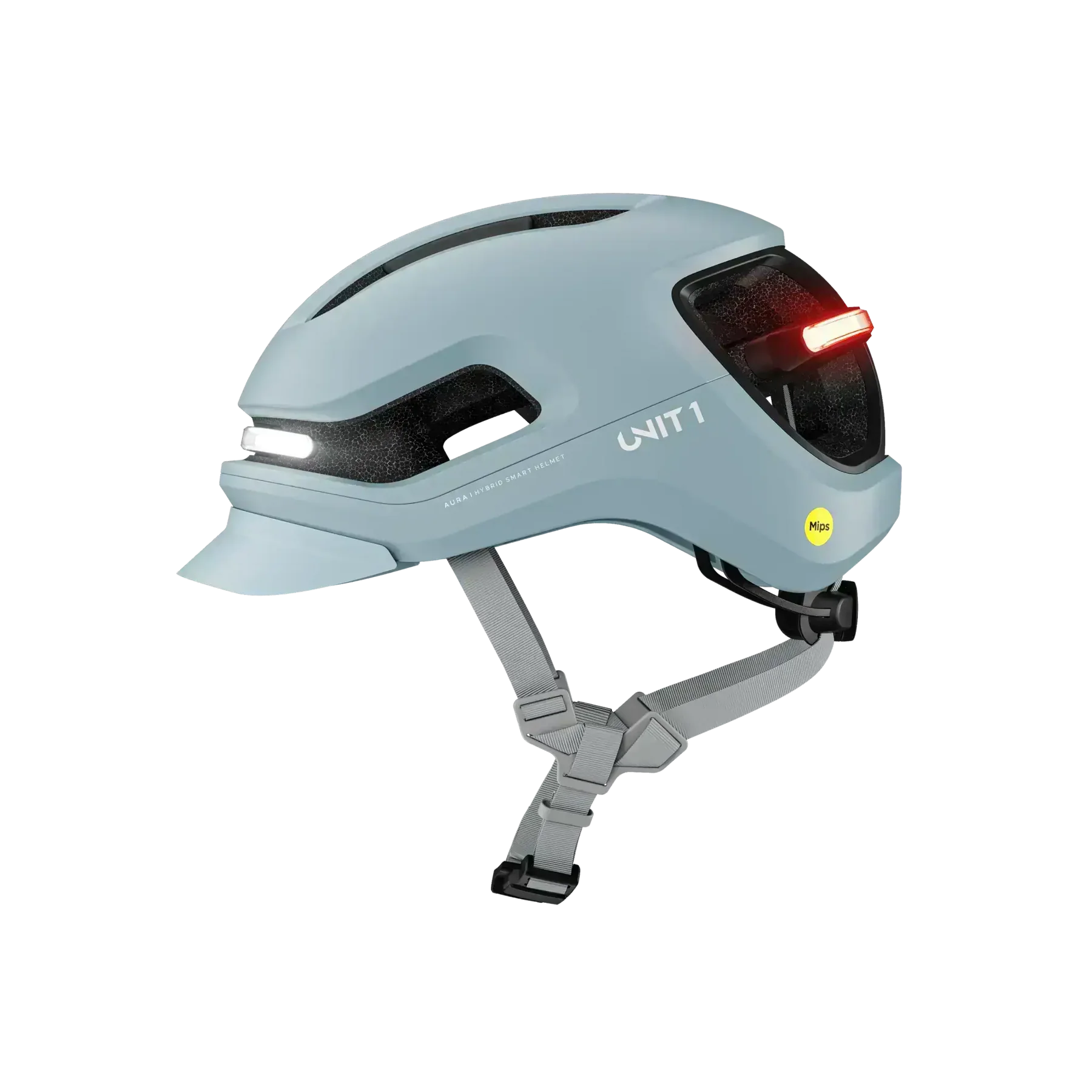 Unit 1 AURA Mips Stingray