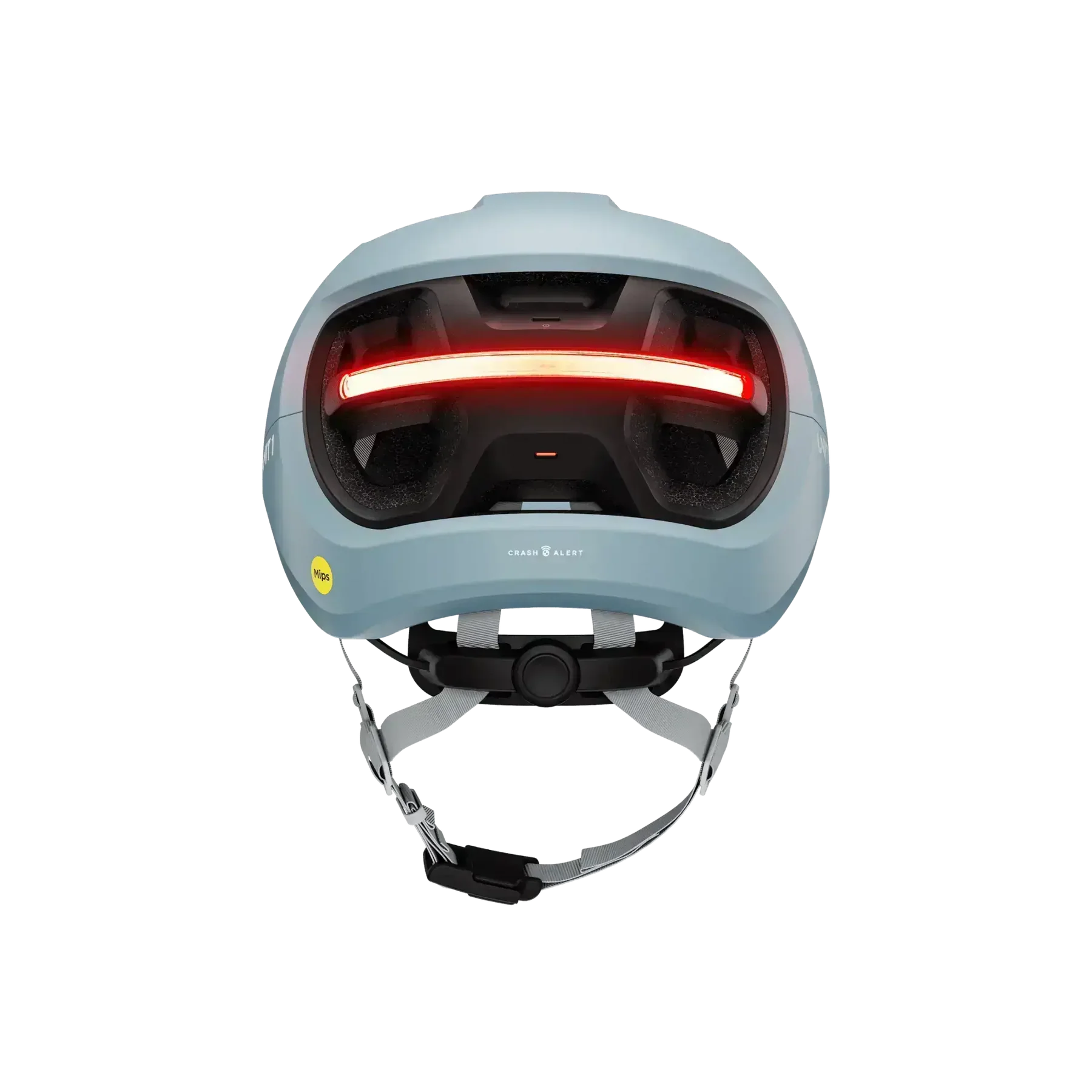 Unit 1 AURA Mips Stingray