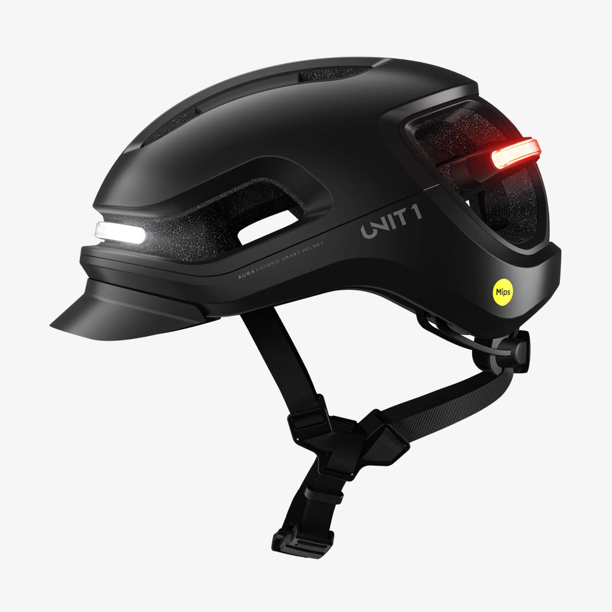 UNIT 1 AURA MIPS Blackbird