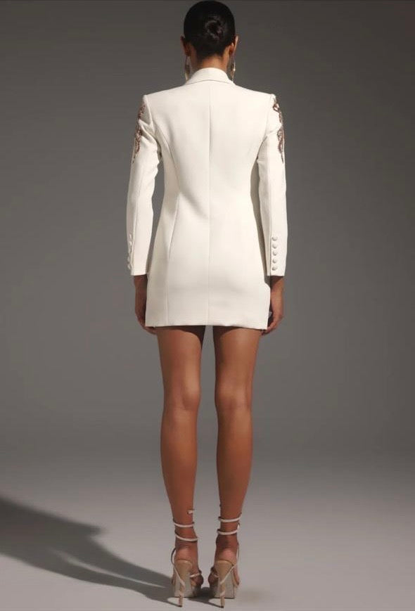 Shardae Long Sleeve V- Neck Seguin Mini Dress