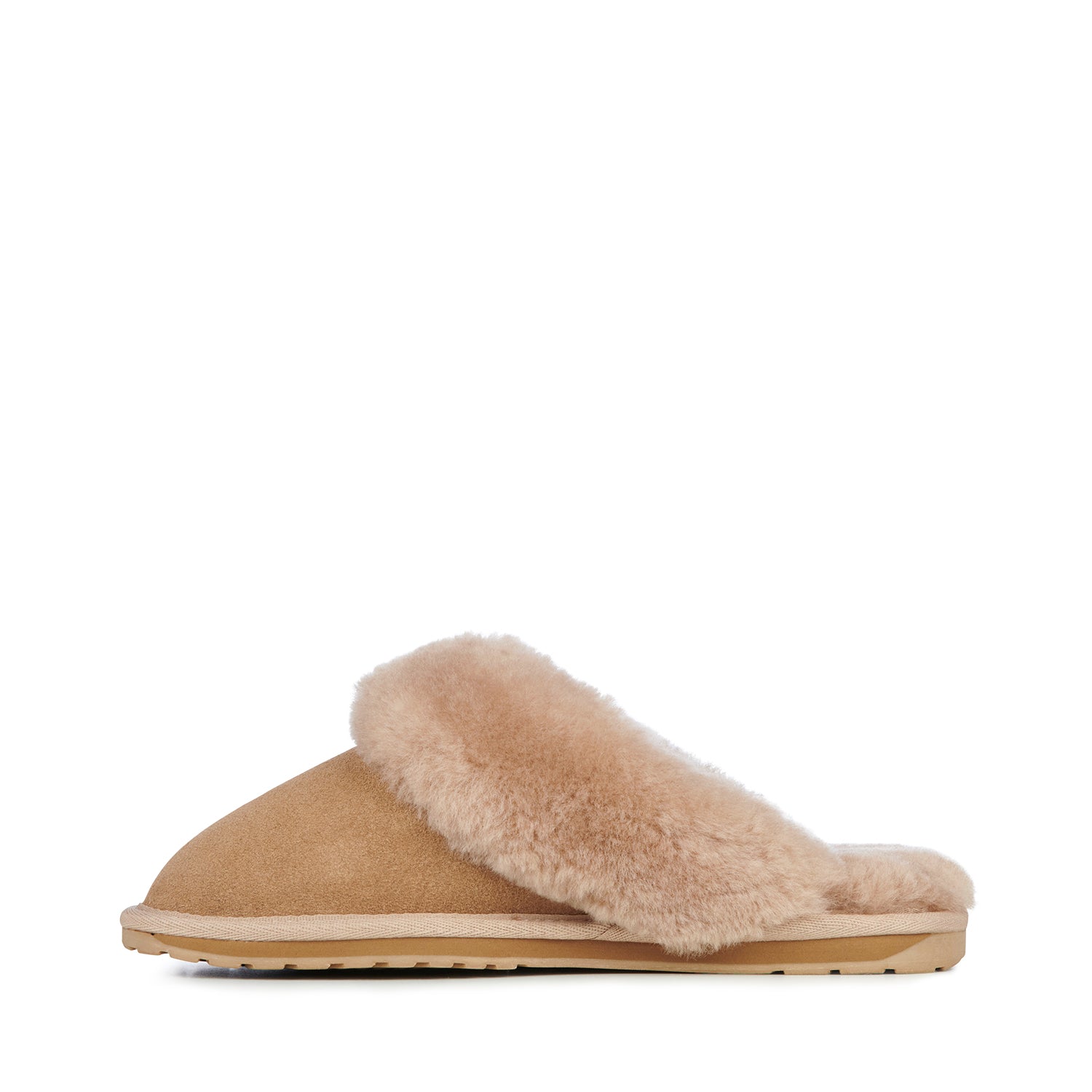 Jolie Camel