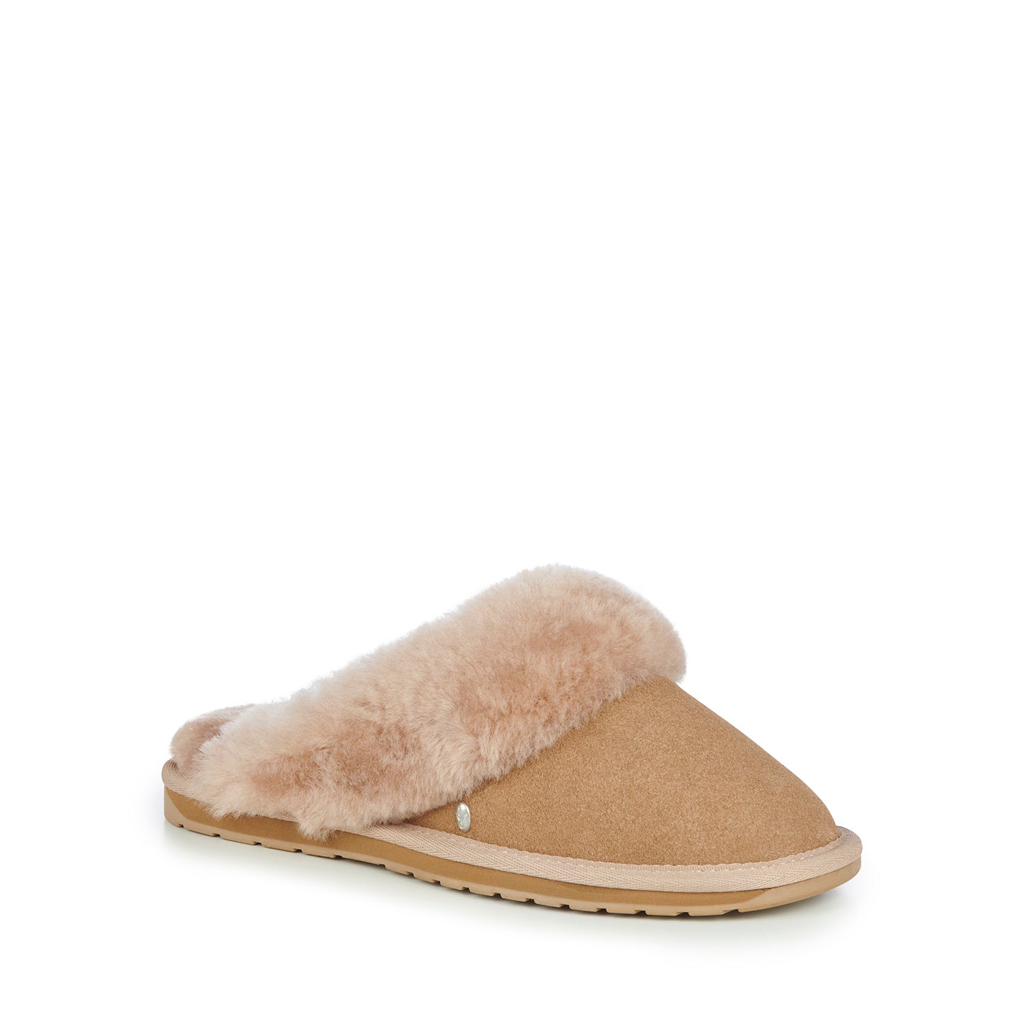 Jolie Camel